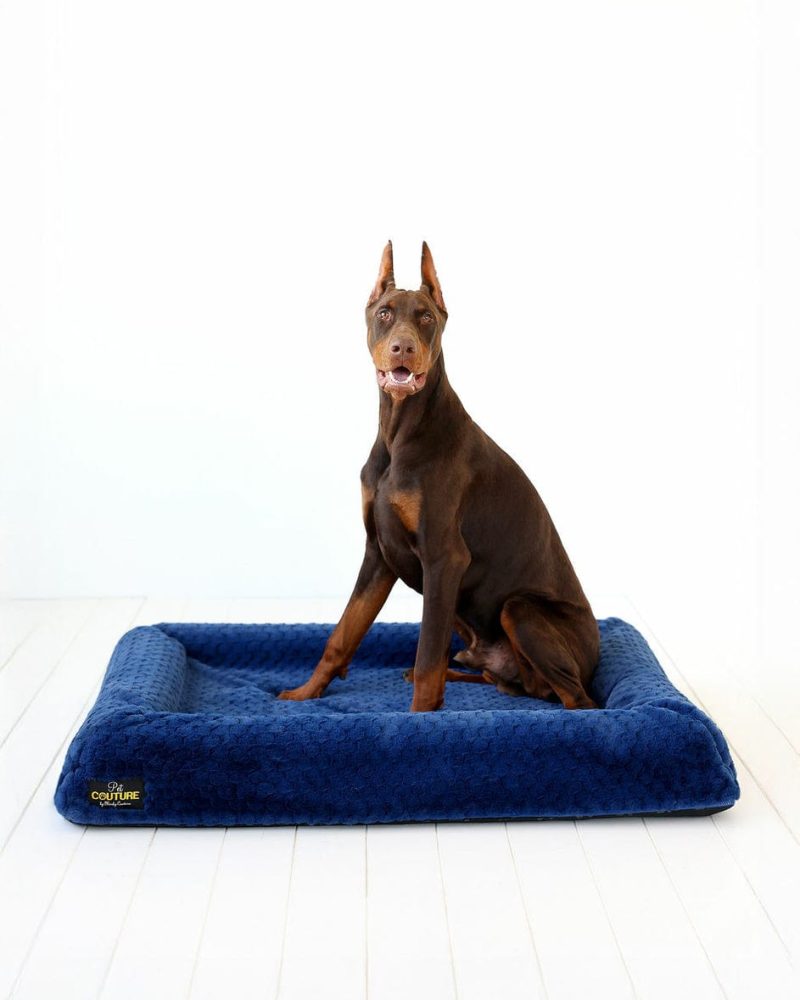 Blue Honeycomb Pet Bed