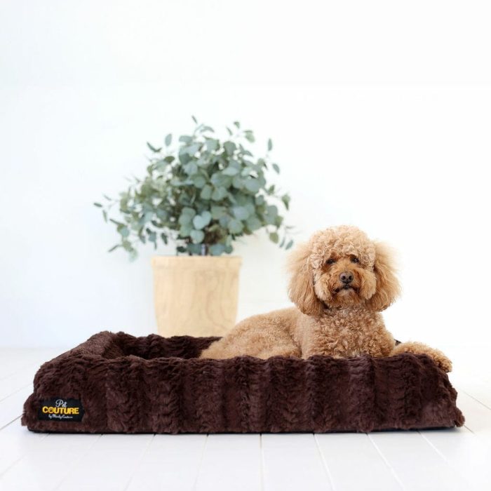 BrownPlumePetBed-Hero.jpg