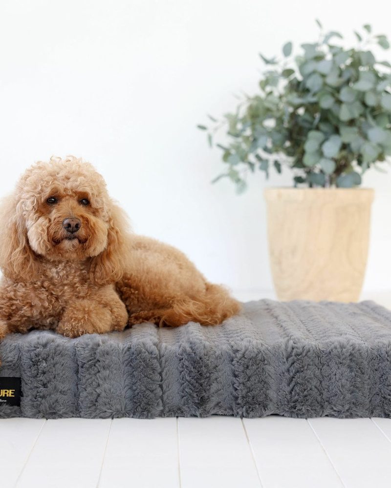 Charcoal Plume Pet Crate Pad