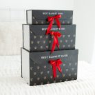 MinkyGiftBoxRedRibbon051.jpg