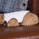 PetVest-Cream_DarkBrown-Image3.jpg